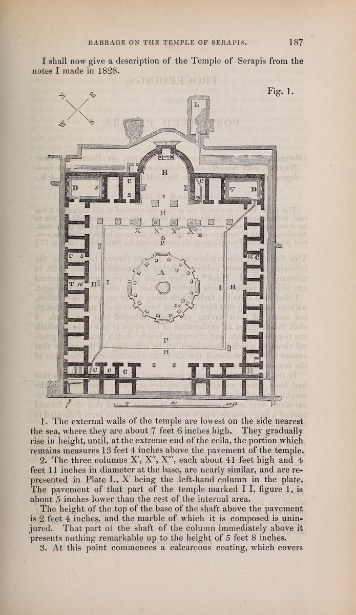 A nineteenth-century geological engraving of the Pozzuoli columns