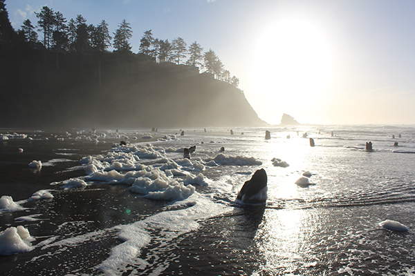 The Neskowin Ghost Forest, Oregon coast, 2016
