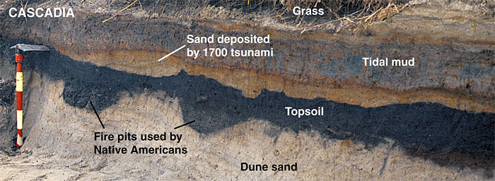The 1700 Cascadia tsunami deposit in Oregon sediment