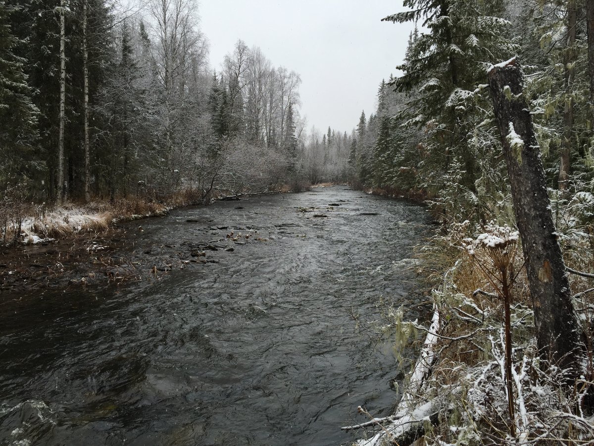 The Auspiya River in the northern Urals