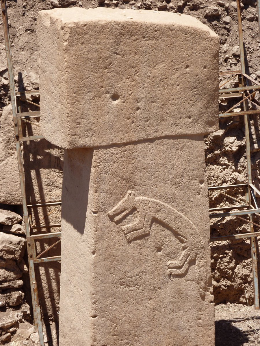 Fox carving in high relief on Pillar 10 of Enclosure B at Göbekli Tepe