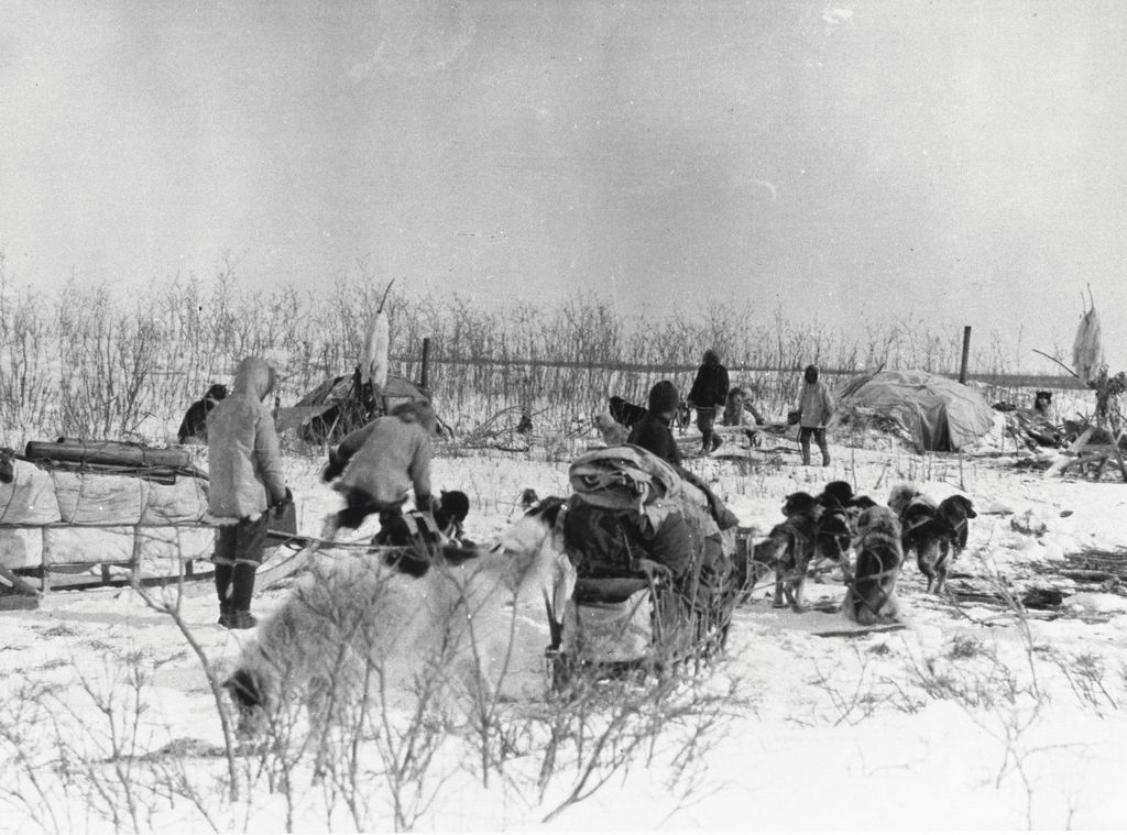 Men departing an Inuit camp near Moose and Fish Rivers with dog sleds, 1914, Northwest Territories