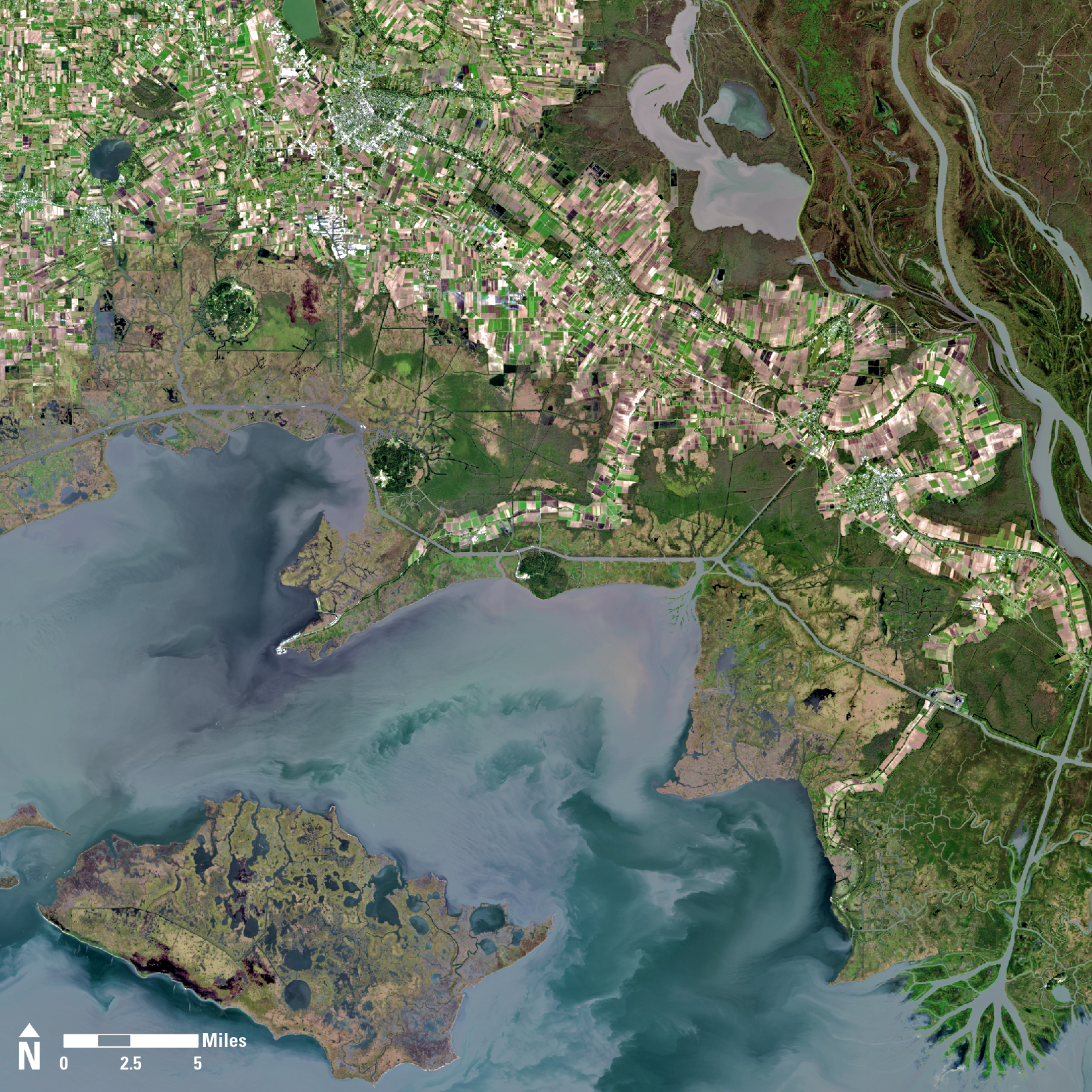 Landsat 8 satellite image showing the five salt dome islands of southern Louisiana including Jefferson Island