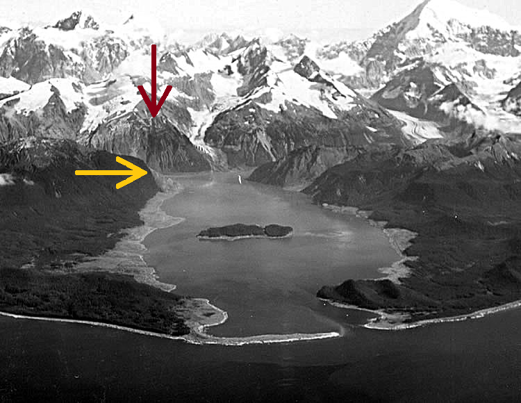 Aerial view of Lituya Bay weeks after the 1958 tsunami, showing stripped forest areas