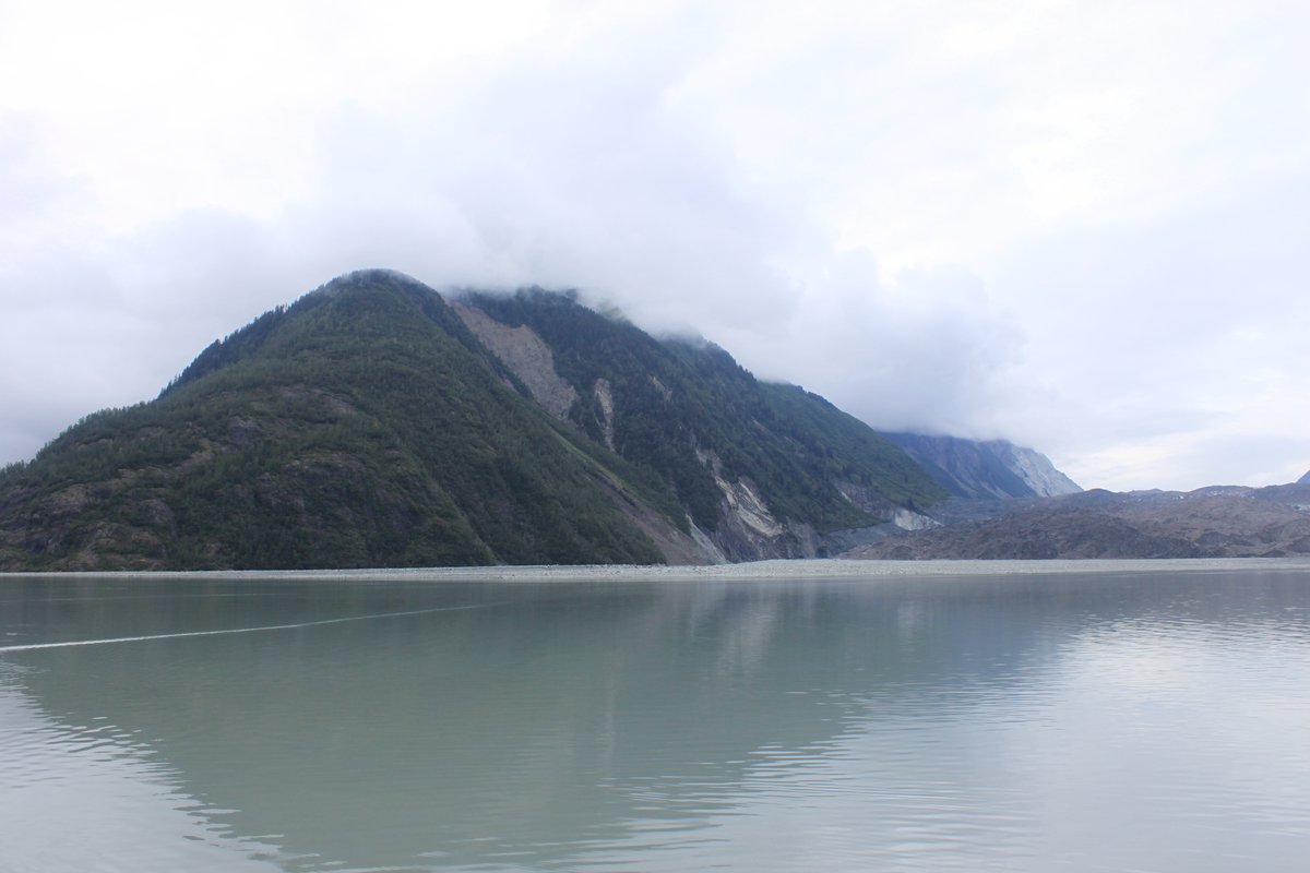 Lituya Bay in 2010 showing stark contrast between old forest and post-1958 regrowth