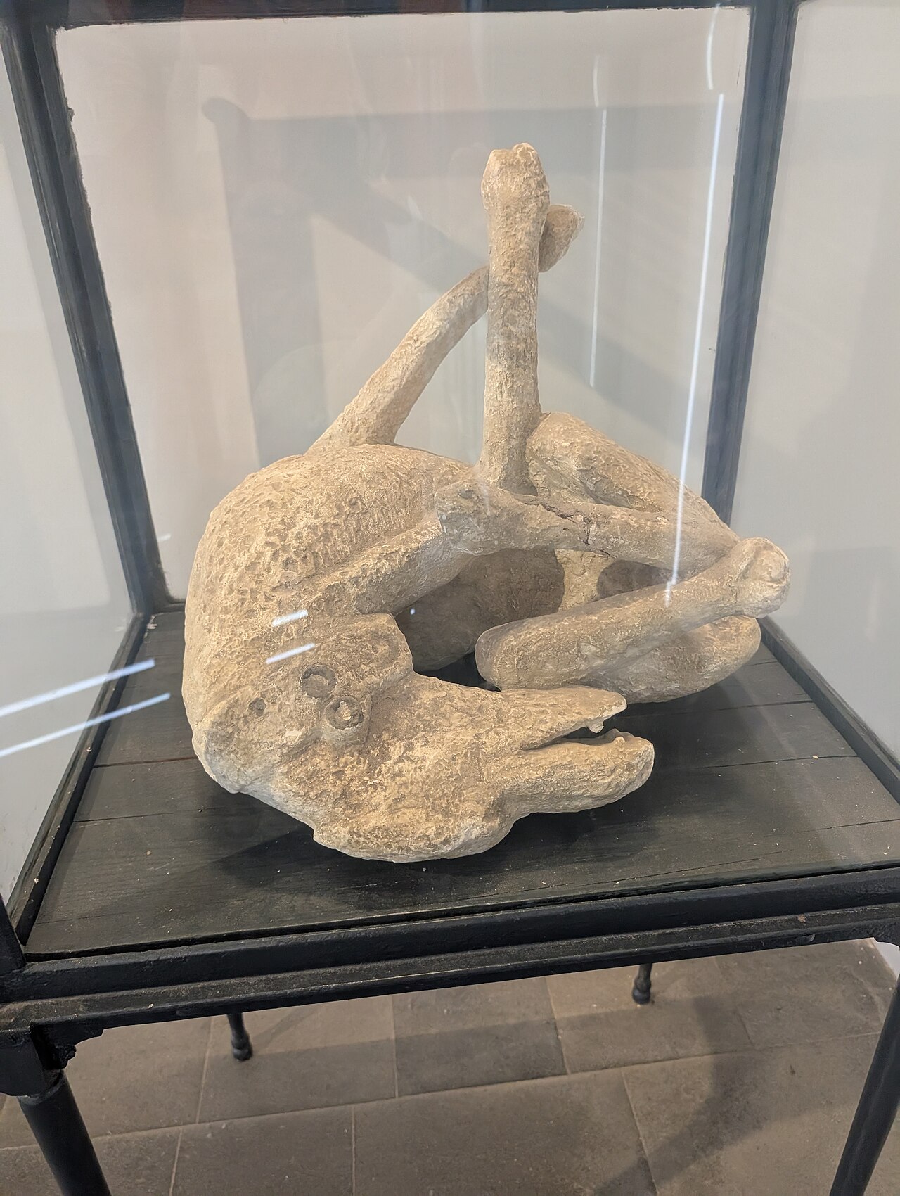Plaster cast of a dog twisting on its chain, a victim of the Vesuvius eruption