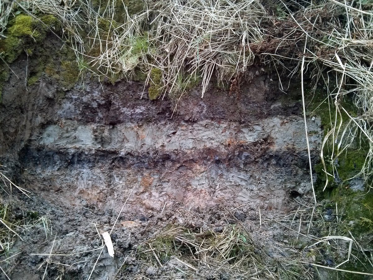 Tsunami sediment deposit layers from the Storegga event