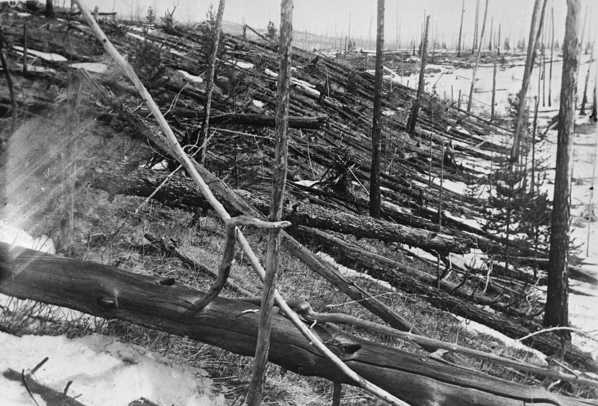 Trees knocked flat in a radial pattern, photographed during the 1929 Kulik expedition to Tunguska